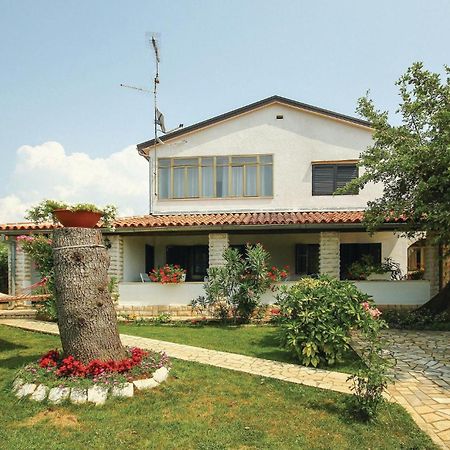 Beautiful Apartment In Porec With Wifi Dış mekan fotoğraf